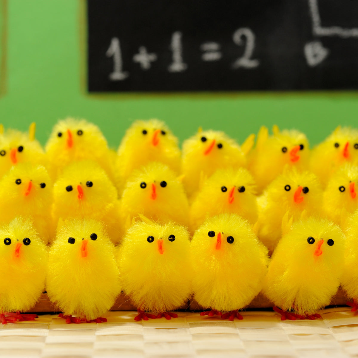 Easter Camp